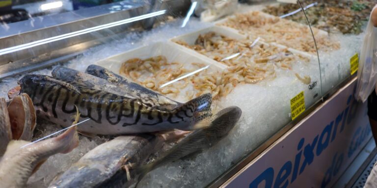 Vigilância Sanitária orienta sobre compra de pescado na Semana Santa vigilancia-sanitaria-orienta-sobre-compra-de-pescado-na-semana-santa