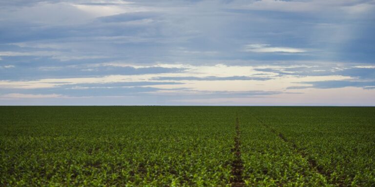 fazenda-estuda-fundo-garantidor-para-dividas-rurais