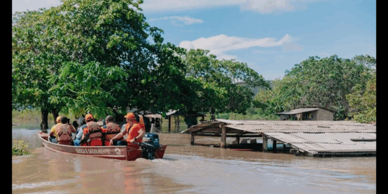Chuvas em Roraima: técnicos federais ajudam na resposta a desastres chuvas-em-roraima:-tecnicos-federais-ajudam-na-resposta-a-desastres