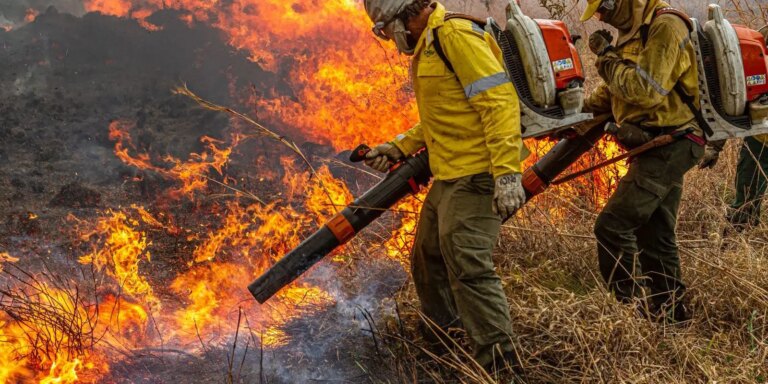 governo-repassa-r$-337-milhoes-para-combate-a-incendios-e-desmatamento