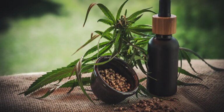 Projeto apoia mães e crianças atípicas tratadas à base de cannabis projeto-apoia-maes-e-criancas-atipicas-tratadas-a-base-de-cannabis