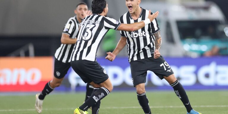 Com gol no último lance, Botafogo bate Santos na volta do Brasileirão com-gol-no-ultimo-lance,-botafogo-bate-santos-na-volta-do-brasileirao