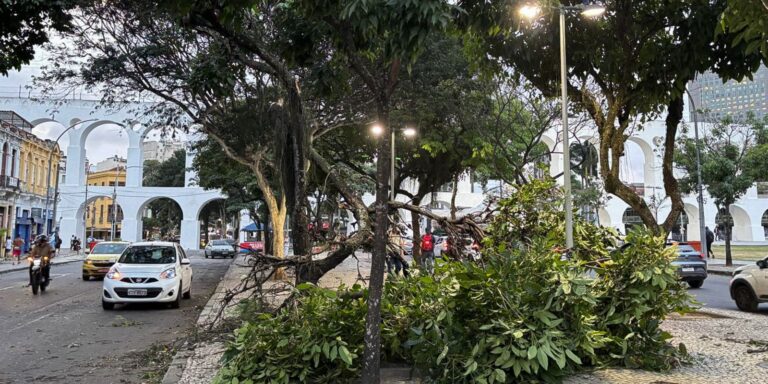 Vendaval ainda causa danos a moradores do Rio de Janeiro vendaval-ainda-causa-danos-a-moradores-do-rio-de-janeiro