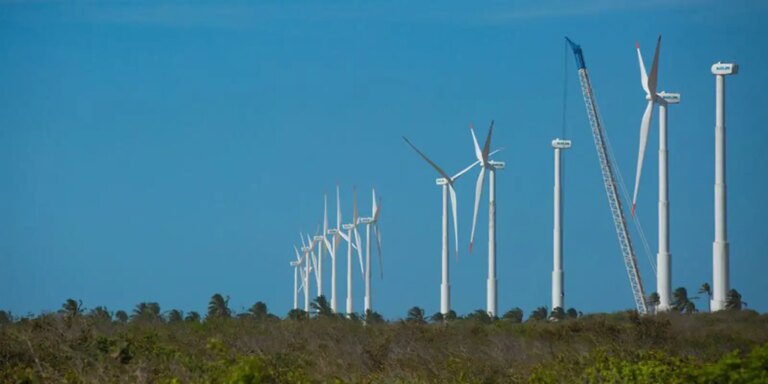 Projeto mapeia caminhos para economia verde no Nordeste projeto-mapeia-caminhos-para-economia-verde-no-nordeste