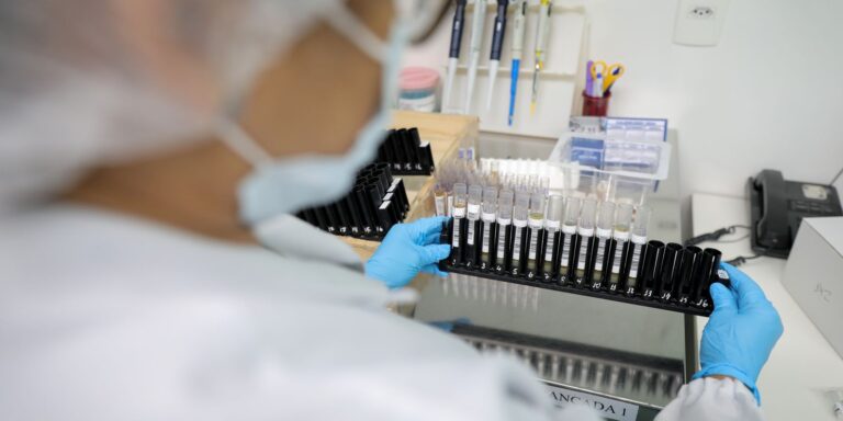 Malária: Anvisa autoriza teste em humanos de vacina 100% brasileira malaria:-anvisa-autoriza-teste-em-humanos-de-vacina-100%-brasileira