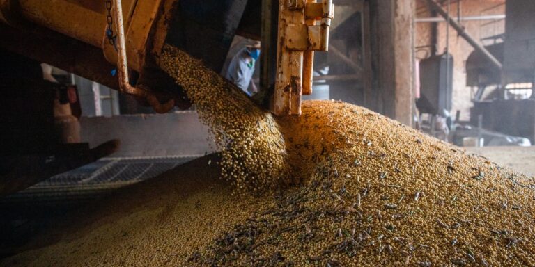 Produção brasileira de grãos deve aumentar apesar do El Niño producao-brasileira-de-graos-deve-aumentar-apesar-do-el-nino