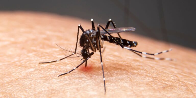 Mudanças climáticas já causam aumento de doenças infecciosas no país mudancas-climaticas-ja-causam-aumento-de-doencas-infecciosas-no-pais